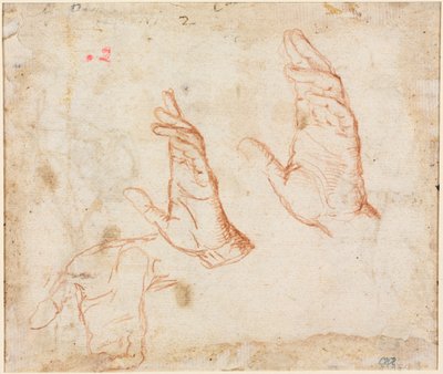 Studie af hænder (verso) af Camillo Procaccini