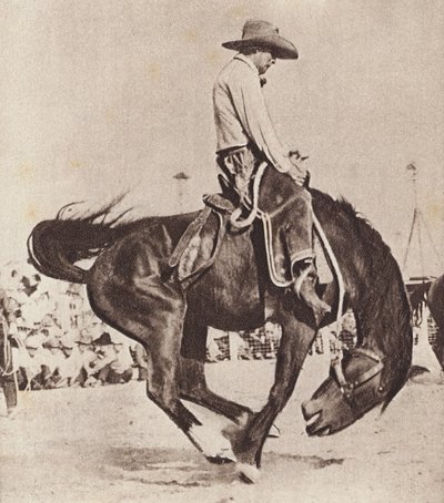 Cowboy rider på en bukkende bronco (s/h-foto) af Canadian Photographer