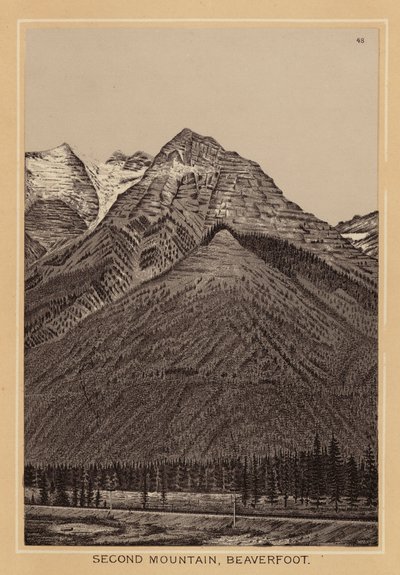 Canada: Second Mountain, Beaverfoot (litografi) af Canadian School