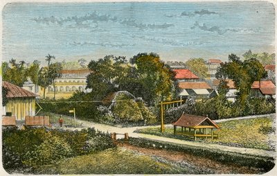 Tonga, c1885 af Canedi Barberis