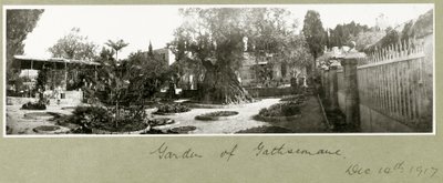 Getsemane Have, 14. december 1917 af Capt. Arthur Rhodes