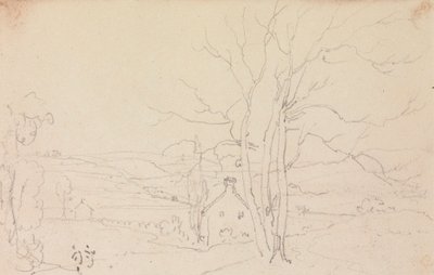 Skitse af et stort træ og et sommerhus af Capt. Thomas Hastings