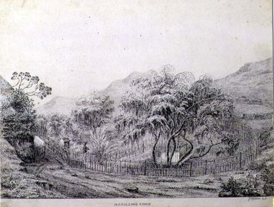 Napoleons grav ved Longwood på øen St. Helena af Captain G. Rotton