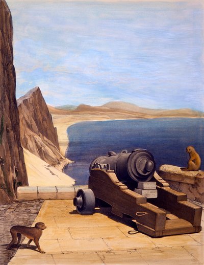 Mediterranean Battery, Gibraltar, tryk lavet af TC Dibdin, fra Select Views of the Rock and Fortress of Gibraltar, udgivet 1846 af Captain J. M. Carter