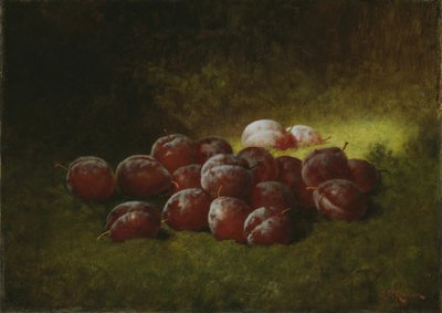 Lilla blommer af Carducius Plantagenet Ream