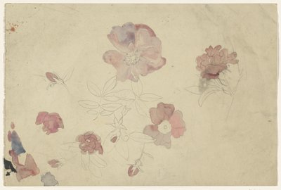 Blomsterstudier i lilla og pink af Carel Adolph Lion Cachet