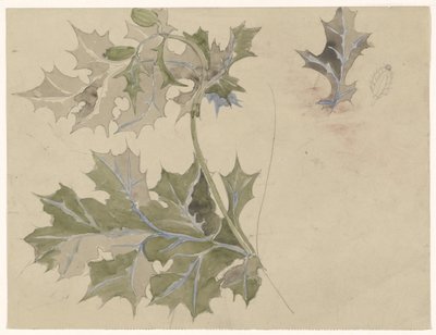Tidsel blade af Carel Adolph Lion Cachet