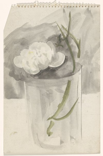 Hvid blomst i et glas af Carel Adolph Lion Cachet
