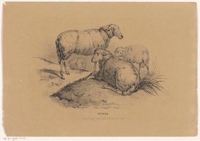 Fire får Pictura (serietitel på objekt) af Carel Christiaan Antony Last