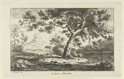hvilende hyrde Te Eext i Drenthe (titel på objekt) Landskaber (a-f) (serietitel) af Carel Lodewijk Hansen