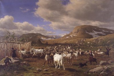 En rensdyrhjord drives til malkepladsen. Motivet fra højfjeldene nord for Røros af Carl Bøgh