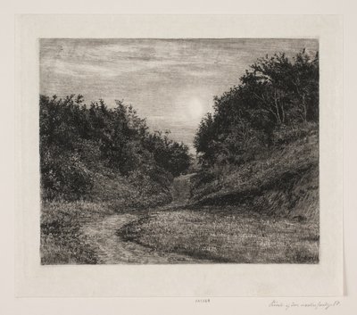 En måneskin sommeraften af Carl Bloch