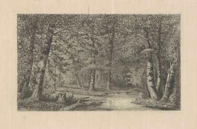Bøgeskov af Carl C. Brenner