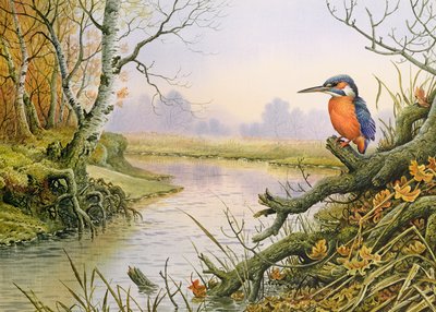 Kingfisher: Autumn River Scene af Carl Donner