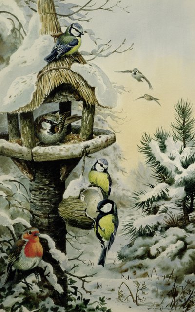 Vinterfuglebord med blåmejser, stormejser, gråspurve og en Robin af Carl Donner