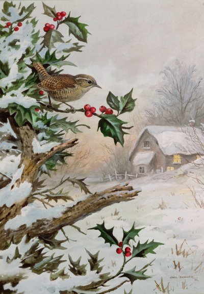 Wren i Hollybush ved et sommerhus af Carl Donner