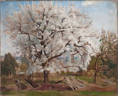 Æbletræ i blomst af Carl Fredrik Hill