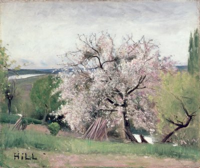 Frugttræ i blomst, Bois-le-Roi af Carl Fredrik Hill