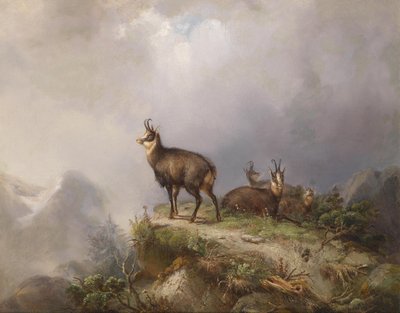 Carl Ockert Chamois af Carl Friedrich Ockert