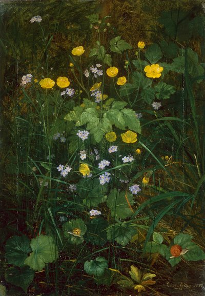 Smørblomster og Forglemmigej på en Skovbund af Carl Henrik Koch Moller