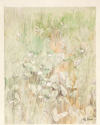 Kallor af Carl Larsson