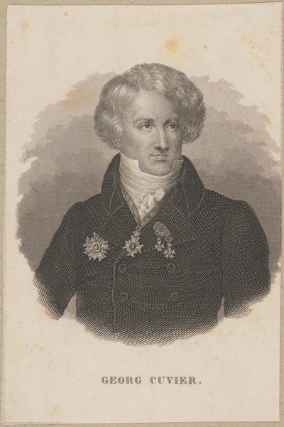  af Carl Mayer
