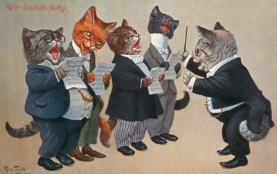 Humoristisk kattepostkort (farvelitografi) af Carl Robert Arthur Thiele
