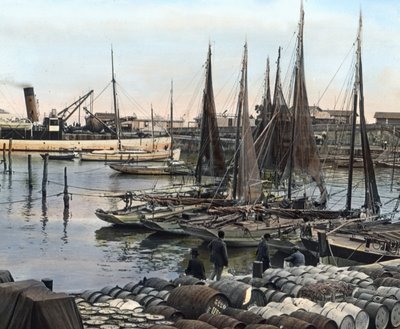 Havn, Charente-Maritime, Frankrig (foto) af Carl Simon