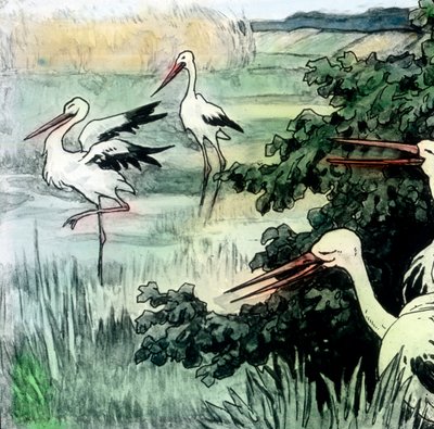 Wilhelm Hauff - Eventyr - Kaliffens stork. Billedet er dateret omkring 1910. Carl Simon-arkivet af Carl Simon