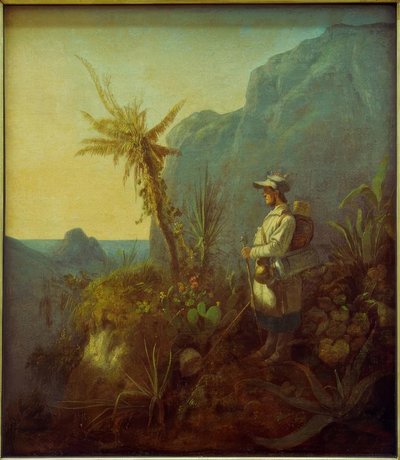 Naturalisten i troperne af Carl Spitzweg
