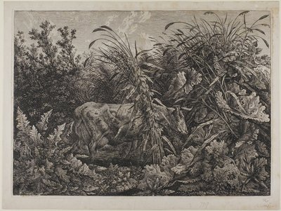 Ko i en bæk af Carl Wilhelm Kolbe the elder
