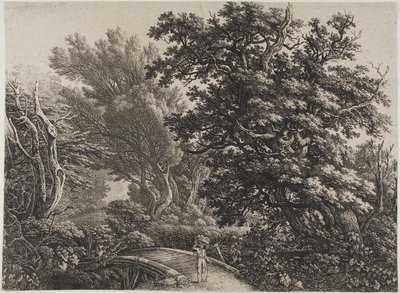 Rustik bro i en sammenfiltret skov af Carl Wilhelm Kolbe, the elder