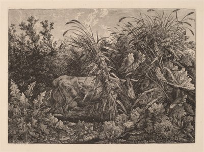 Koen i Sumpen af Carl Wilhelm Kolbe, the elder