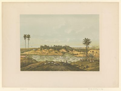 Udsigt over et landskab nær Semarang Nordkysten ved Semarang (titel på objekt) af Carl Wilhelm Mieling (possibly)