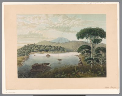 Udsigt over søen Patenggang i Java af Carl Wilhelm Mieling (possibly)