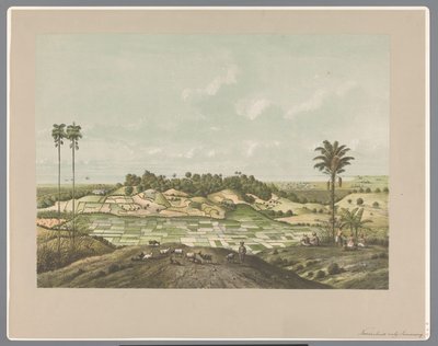Nordkysten nær Semarang af Carl Wilhelm Mieling (possibly)