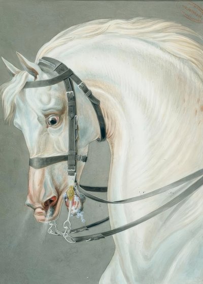 Trense til riffelheste af Carle Vernet