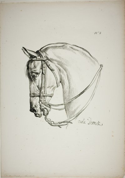 Detalje af hestehoved, forstørret til tredobbelt størrelse, Norman Royal Guard, nr. 2 af Carle Vernet