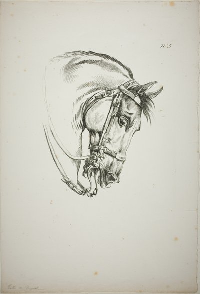Detalje af hestehoved, forstørret til tredobbelt størrelse, Norman Royal Guard, nr. 5, First Limoges Horse af Carle Vernet