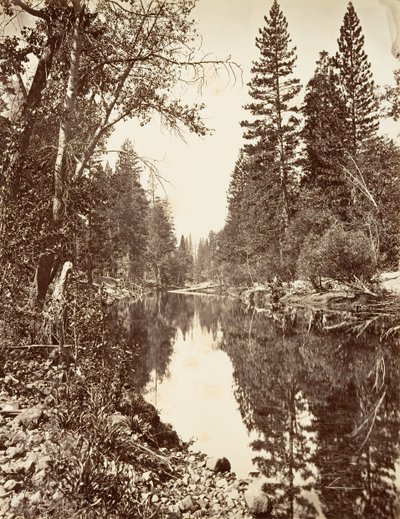 Merced River, Yosemite, ca. 1872, trykt ca. 1876. af Carleton E. Watkins.