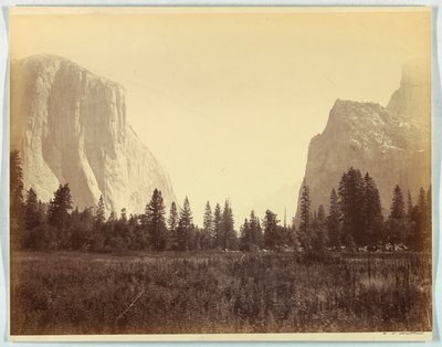 Op ad dalen fra foden af Mariposa Trail, Yosemite, nr. 9 af Carleton E. Watkins
