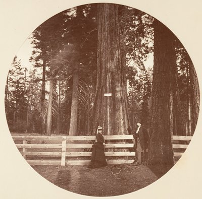 Auld Reckie. C. Grove, ca. 1878. af Carleton Emmons Watkins