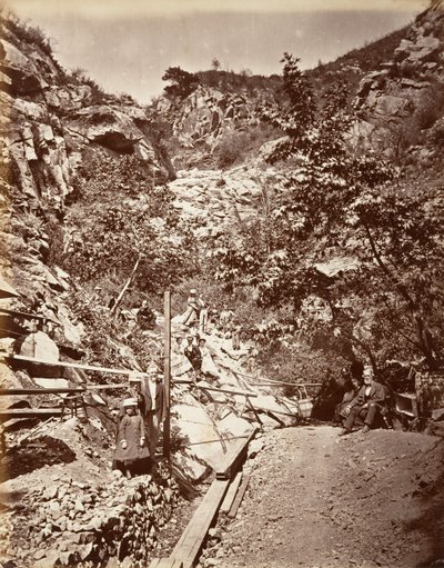 Hot Sulphur Springs, Santa Barbara, 1876, trykt ca. 1876. af Carleton Emmons Watkins