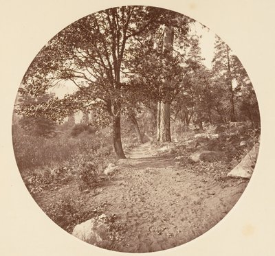 I Yosemite Valley, ca. 1878. af Carleton Emmons Watkins