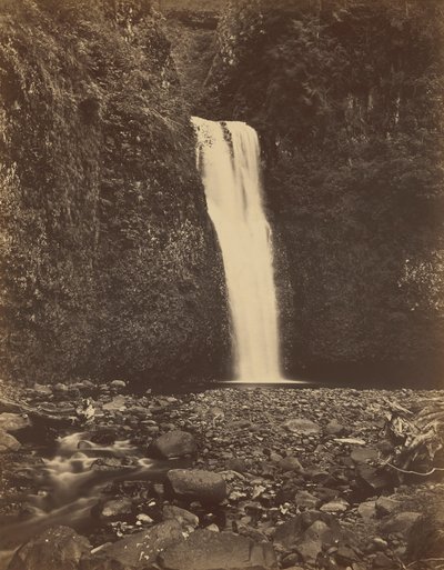 Lower Multnomah Falls, Columbia River,1867 (foto) af Carleton Emmons Watkins