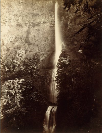 Multnomah Falls Cascade, Columbia River, 1867. af Carleton Emmons Watkins