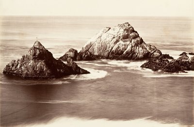 Seal Rocks, 1868-69, trykt ca. 1876. af Carleton Emmons Watkins