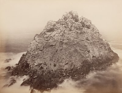 Sugar Loaf Islands, Farallons, 1868-69. af Carleton Emmons Watkins
