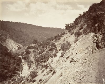 Sulphur Creek and Road to Geysers, 1868-70, trykt ca. 1876. af Carleton Emmons Watkins