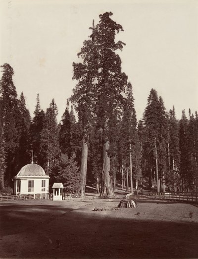 The Sentinel, 315 fod, 1865-66, trykt ca. 1876. af Carleton Emmons Watkins
